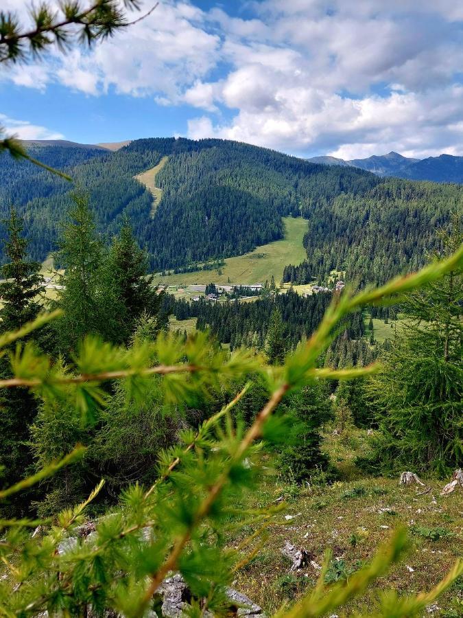 Almhaus Kaernten Flattnitz Esterno foto